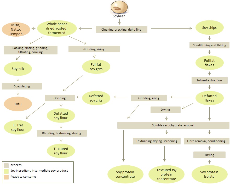 genetically modified soybeans process